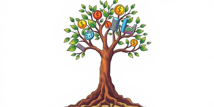 Uso estratégico del crédito en etapas de expansión y consolidación